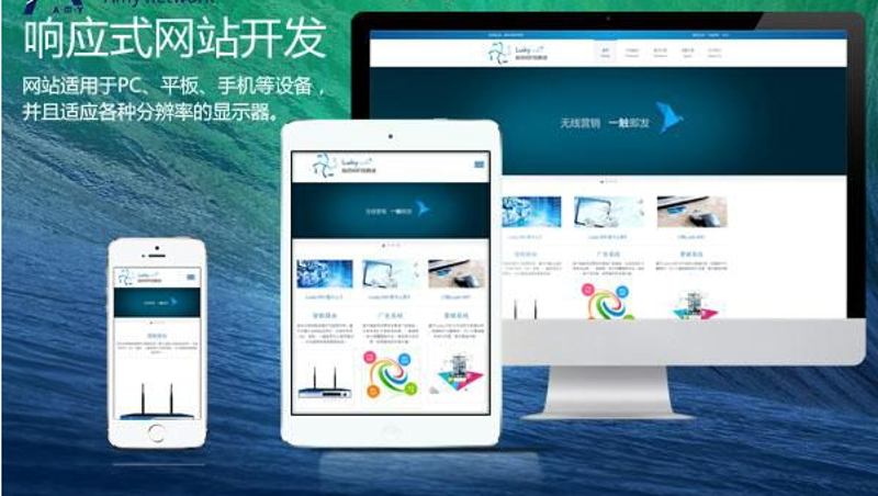 电商网站制作：新手与老手的选择差异