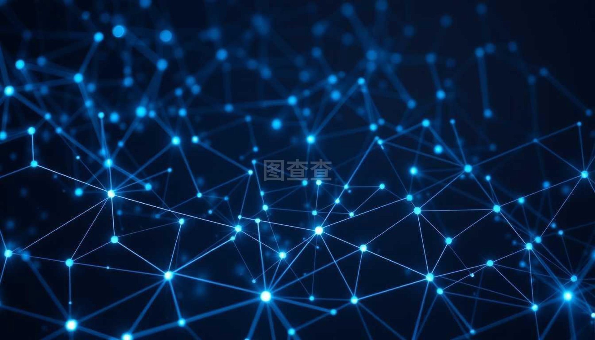 栖桂网络科技